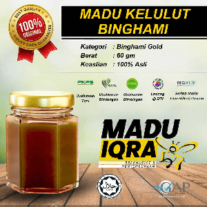 Madu Kelulut Binghami 60gm - Image 1