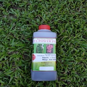 Vita Power Plus - Image 1