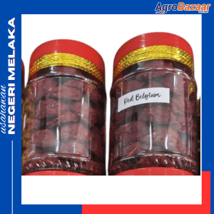 RED BELGIUM (2 BALANG) - Image 1