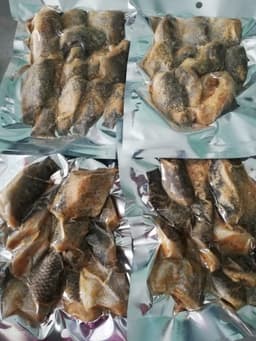 PEKASAM IKAN KELI - Thumbnail 2