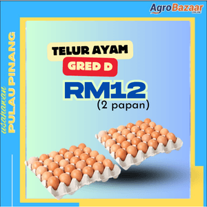 KOMBO TELUR GRED D - Image 1