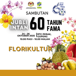 LOT FLORIKULTUR 20 x 20 KINGDOM OF AGROFOOD - Thumbnail 1