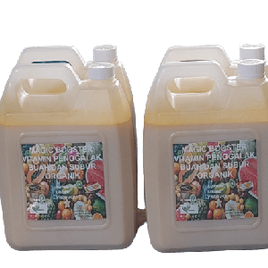 MAGIC BOOSTER VITAMIN BUAH ORGANIK - Image 1