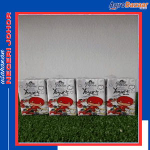 Yogurt Mixberries 125ml x 16pcs