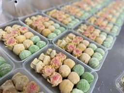 PREMIUM FROZEN DIM SUM (300 GM / 15 PCS) - Thumbnail 1