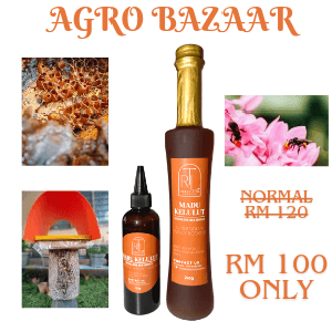 madu kelulut combo set - Image 1