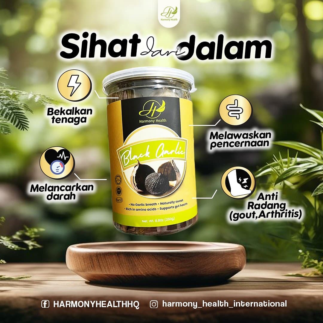 Bawang Hitam Premium Gred A - Image 1