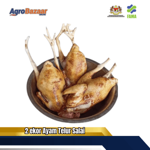 2 ekor ayam telur salai - Image 1