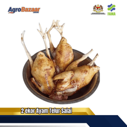 2 ekor ayam telur salai - Thumbnail 1