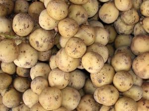 [SELF PICK-UP] LONGKONG - Image 1