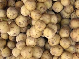 [SELF PICK-UP] LONGKONG - Thumbnail 1