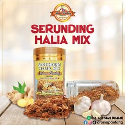 Serunding Halia Mix Ikan Bilis Mix Garlic - Thumbnail 1