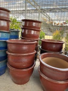 Pasu reject - Thumbnail 2