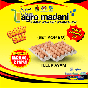 KOMBO TELUR 2 TRAY Gred C - Image 1