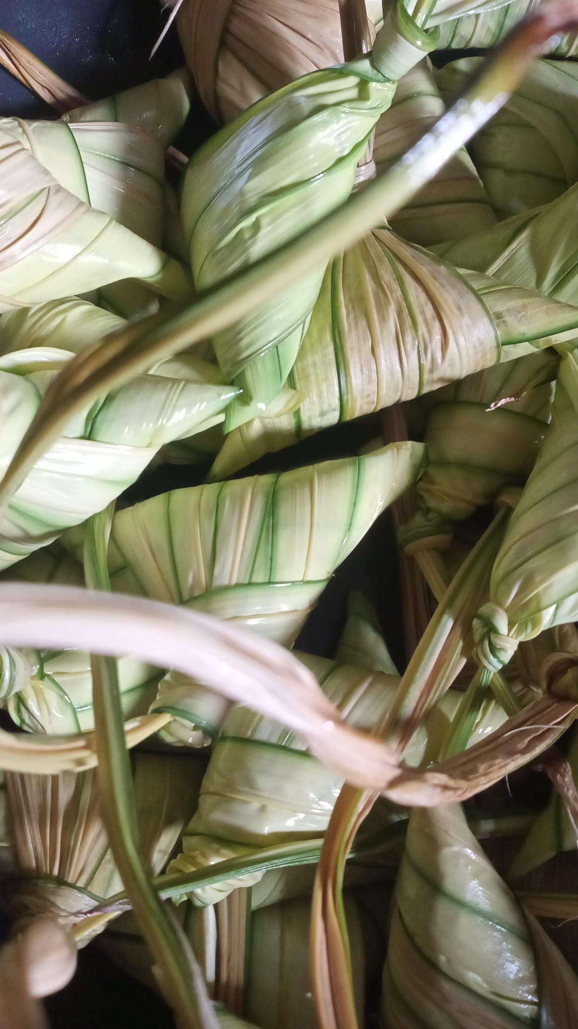 KETUPAT FROZEN besut