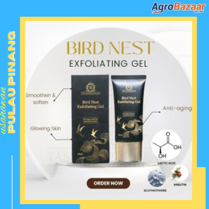 Bird Nest Exfoliating Gel 30ML