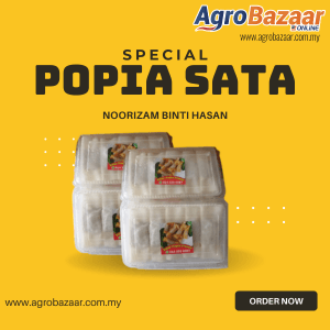 SELF PICKUP - 10 PCS POPIA SATAR