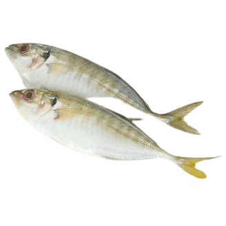 Ikan Selar - Image 1