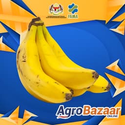 Pisang Berangan Kombo 14Kg Pusat Operasi FAMA Perlis - Thumbnail 2