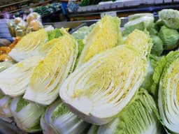 KOBIS PANJANG - Thumbnail 1