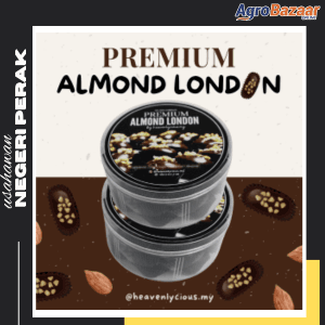 PRE ORDER - Premium Almond London
