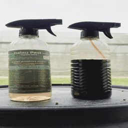 HALAU PEST - Thumbnail 1