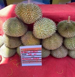 Self Pickup - Durian IOI -  3 Biji RM50