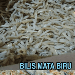 Ikan Bilis Mata Biru - Thumbnail 1