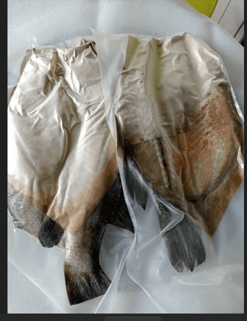 ikan siakap bekok - Image 1