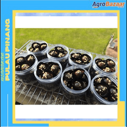 ALMOND LONDON BY MOMMY SYANTIKK - Thumbnail 1