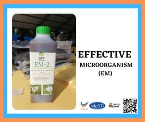 EFFECTIVE MICROORGANISM (EM)