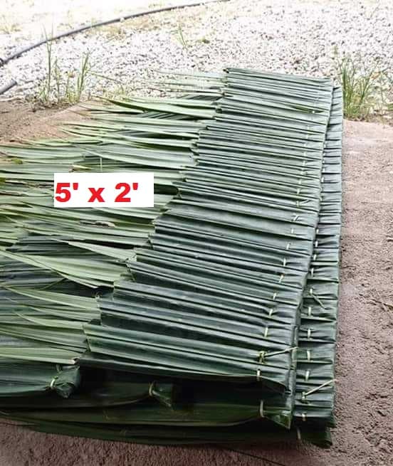 Atap Nipah - Image 1