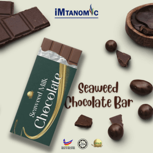 Seaweed Milk Chocolate Bar - Image 1