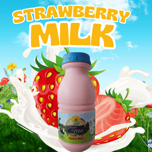 SUSU SEGAR BERPERISA STRAWBERI