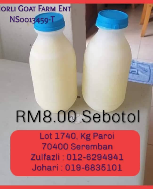 SUSU KAMBING ASLI