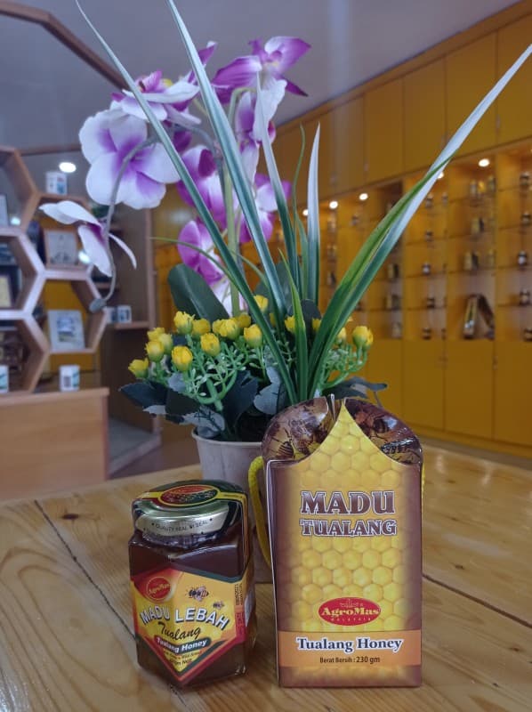 Madu Lebah Tualang