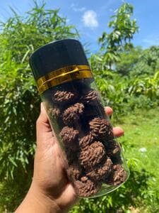 Chocolate Butter Cookies