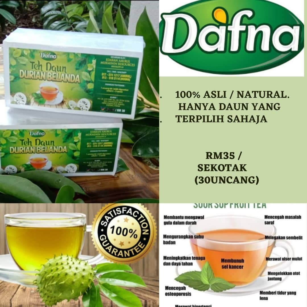 TEH DAUN DURIAN BELANDA