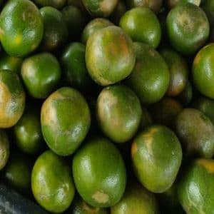 Buah limau manis - Image 1