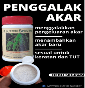 ROOTING POWDER. HORMON AKAR. PENGGALAK AKAR. DEBU 50g. - Image 1