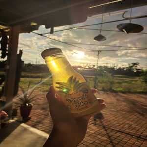 Nictar Jus Nenas 250ml - Image 1