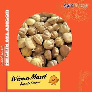 BAHULU CERMAI MASRI 40 BIJI - Image 1