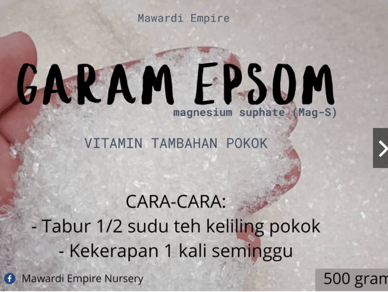 GARAM EPSOM/ EPSOM SALT. baja daun keladi. magnesium suphate (Mag-S). 500gram. - Image 1