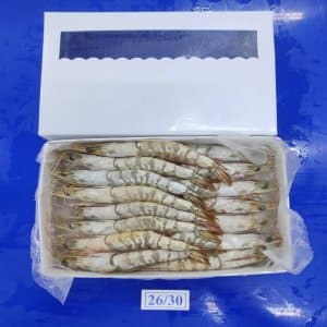 White Prawn - Image 1