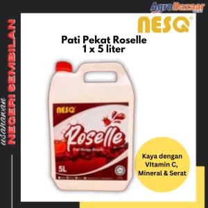 PATI ROSELLE (5 LITER)
