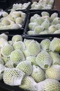 Kombo 4kg Jambu lohan gu16