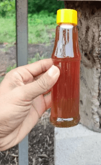 madu kelulut - Image 1