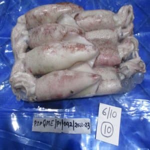Whole Squid - Image 1