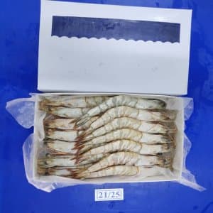 White Prawn