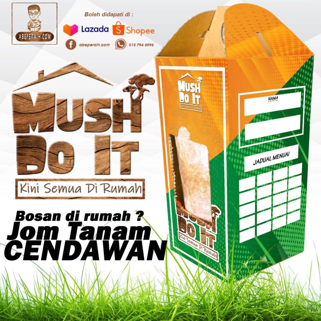 Mush Do It - Bongkah Cendawan Tiram DIY di rumah